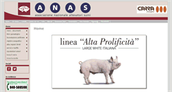 Desktop Screenshot of anas.it